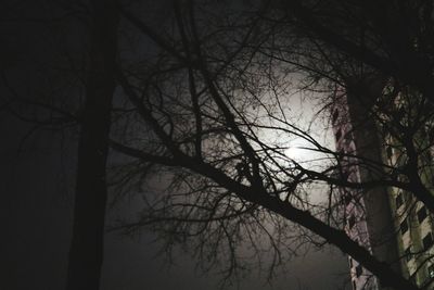 Low angle view of silhouette bare trees against sky