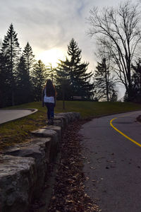Rear view of man walking on road along trees