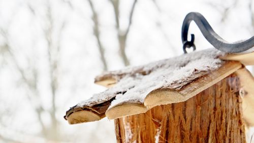 Close up of wood