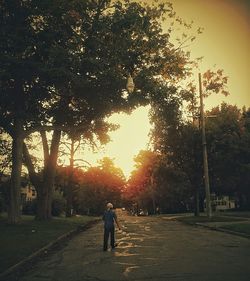 View of footpath at sunset