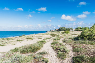 Scenic view of beach against sky