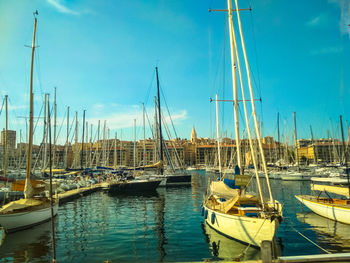 Sailboats moored in harbor
