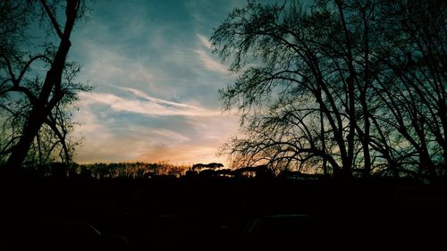 Silhouette trees against sky during sunset