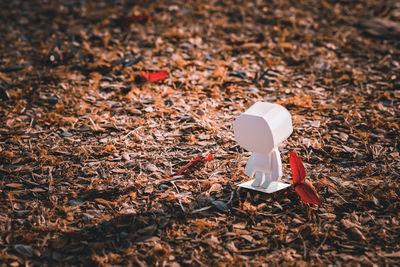 High angle view of toy on field during autumn