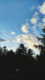 Low angle view of silhouette trees against sky