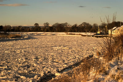 Snow covered field against sky