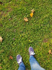 Low section of person standing on field