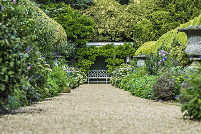 Footpath in garden