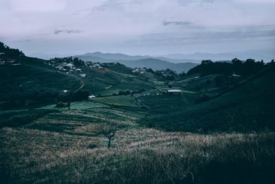 Scenic view of landscape against sky