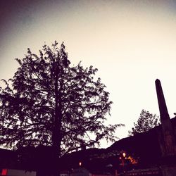 Low angle view of silhouette trees against clear sky