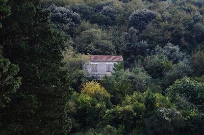 High angle view of house and trees in forest