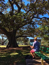 Man standing on tree trunk in park