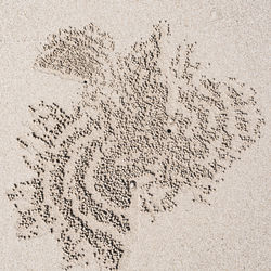 High angle view of text on sand at beach