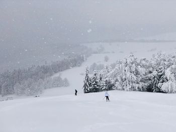 Skiers on the slope in winter surrounded by forest covered in snow