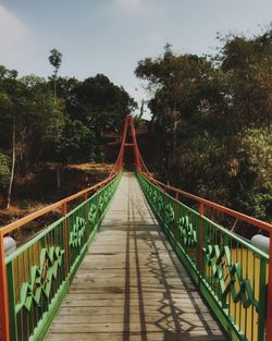 View of footbridge in forest