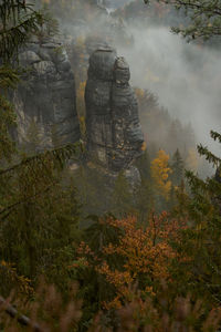 Rock formations along trees