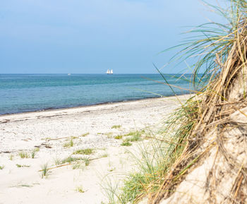 Scenic view of beach against clear sky