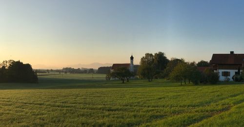 Scenic view of field against clear sky during sunset