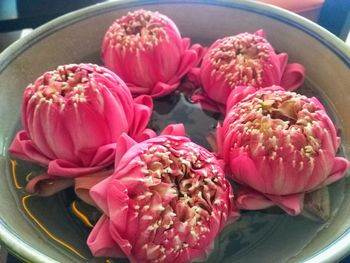 High angle view of pink flowers in bowl