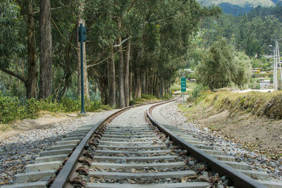 Railroad tracks amidst trees in forest