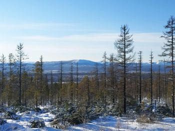 Scenic view of snow covered land against sky
