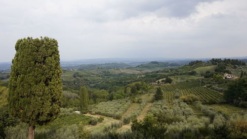 Scenic view of landscape against sky