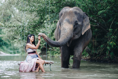 Smiling woman sitting on swing by elephant in river