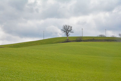 Scenic view of golf course against sky