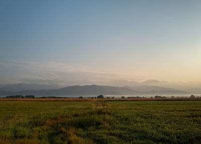 Scenic view of field against sky during sunset