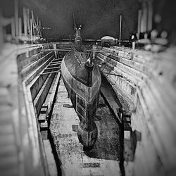 Close-up of plant against blurred background