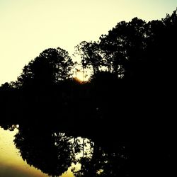 Silhouette of trees at sunset