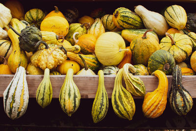 Pumpkins for sale at market stall