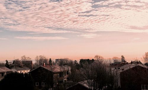 Silhouette of trees against sky during sunset