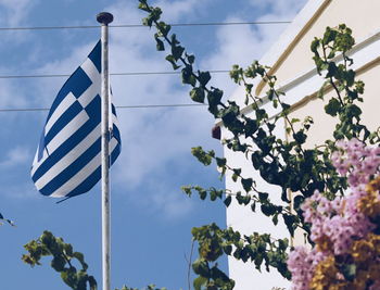 Low angle view of greek flag and flowering plants against cloudy sky