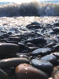 Close-up of stones on beach during sunny day