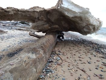 Rock formation on beach against sky