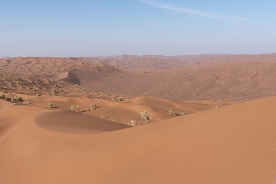 The formation of sand dunes in dasht e lut or sahara desert. nature and landscapes desert.