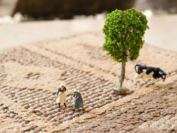 Farmers life miniature