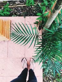 Low section of woman standing on tiled floor by plants