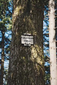 Vertical shot of a tree trunk in blackwood forest near staufen, breisgau, germany, with a signboard