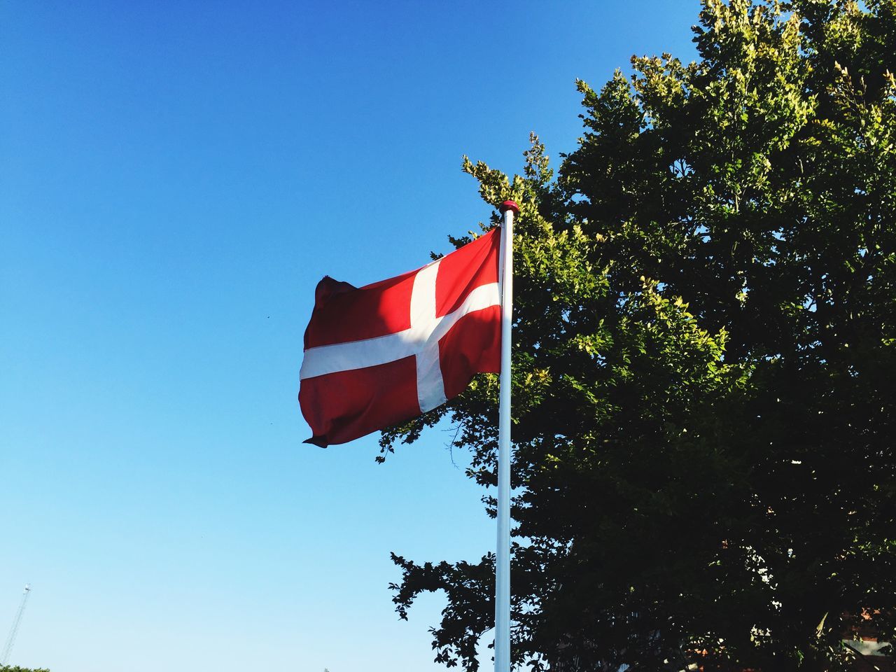 flag, patriotism, identity, clear sky, national flag, low angle view, american flag, red, blue, tree, copy space, culture, wind, pole, no people, day, built structure, architecture, striped, sky