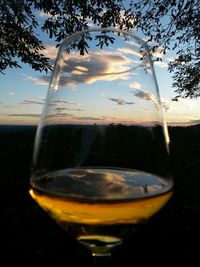 Close-up of beer glass against trees