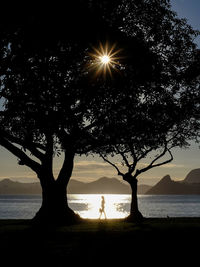 Silhouette tree by plants against sky during sunset