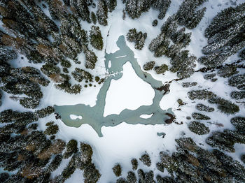 High angle view of trees on snow covered land