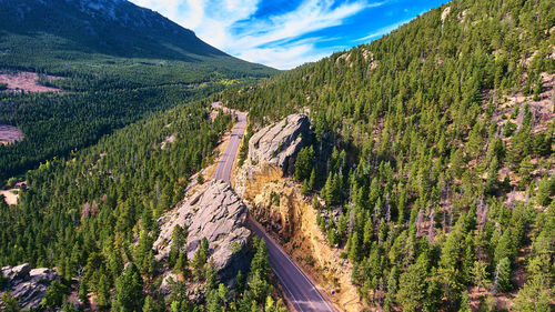 Panoramic shot of road amidst trees against sky