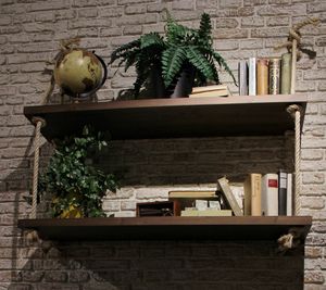 Potted plant on table against building