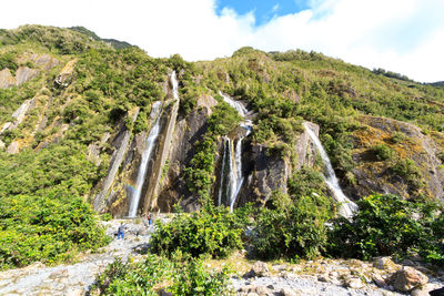 Scenic view of waterfall in forest