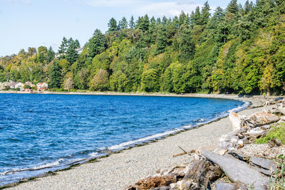 Scenic view of sea against trees in forest