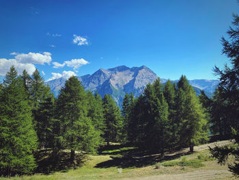 Exploring the apls in valle d'aosta, italy
