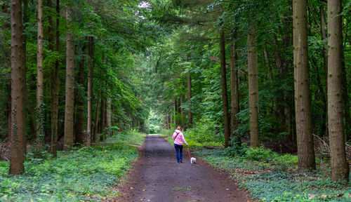 Rear view of woman walking on footpath amidst trees in forest